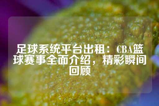 足球系统平台出租：CBA篮球赛事全面介绍，精彩瞬间回顾