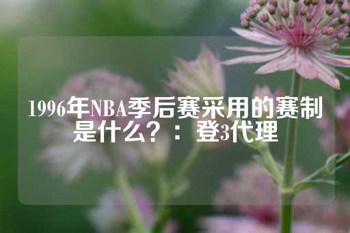 1996年NBA季后赛采用的赛制是什么？：登3代理