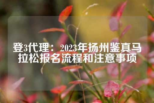 登3代理：2023年扬州鉴真马拉松报名流程和注意事项