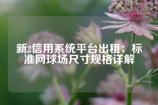 新2信用系统平台出租：标准网球场尺寸规格详解