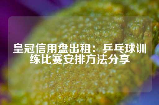 皇冠信用盘出租：乒乓球训练比赛安排方法分享